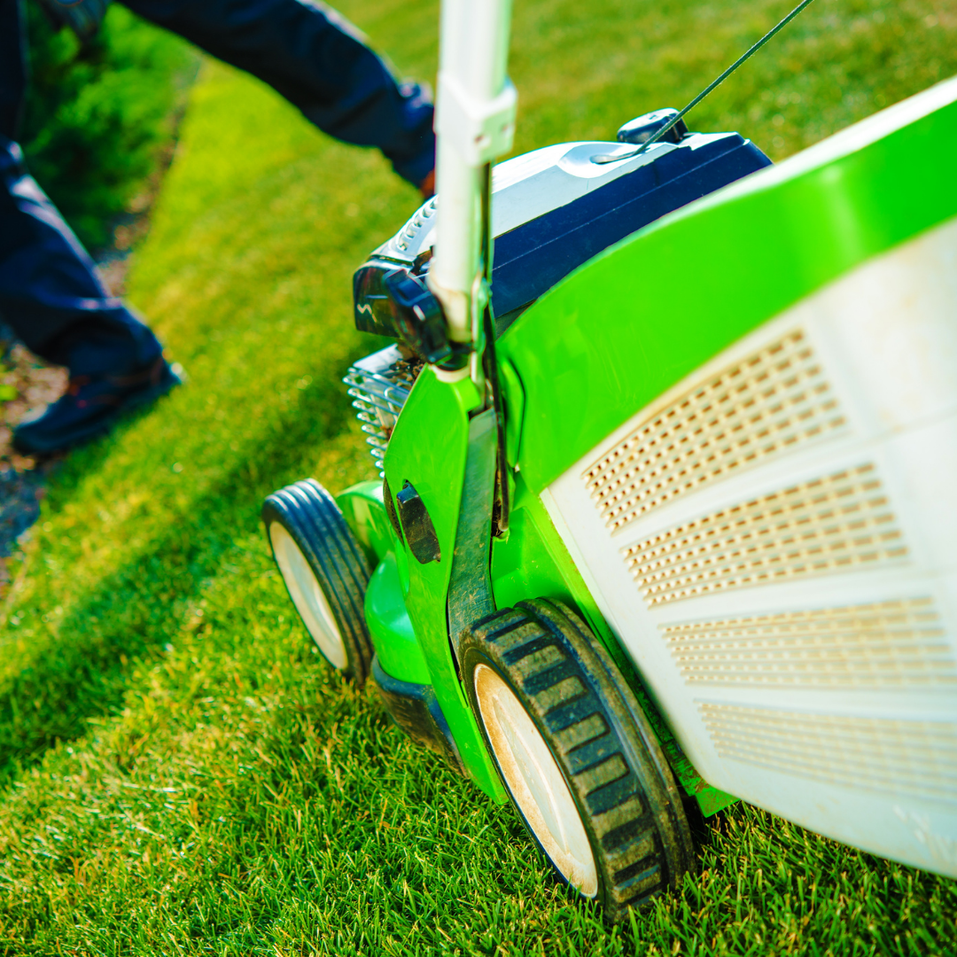 Getting The Lawn Ready For Summer